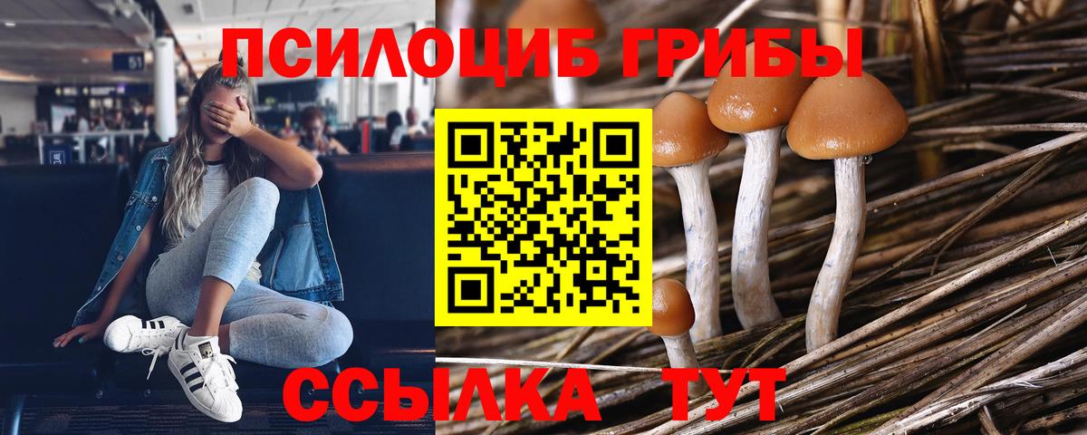 Галлюциногенные грибы Magic Shrooms Мелеуз