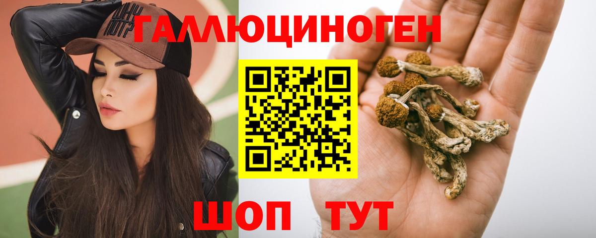 Мелеуз  купить закладку  Вход с VPN  Псилоцибиновые грибы мухоморы  Псилоцибиновые грибы мухоморы 